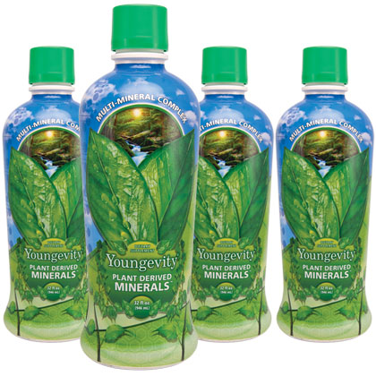 Dr. Wallach's Majestic Earth Minerals Case of 4